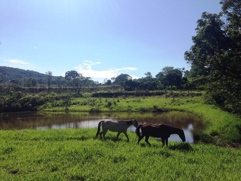 Aguas Vivas Hotel Fazenda Pirenópolis Extérieur photo