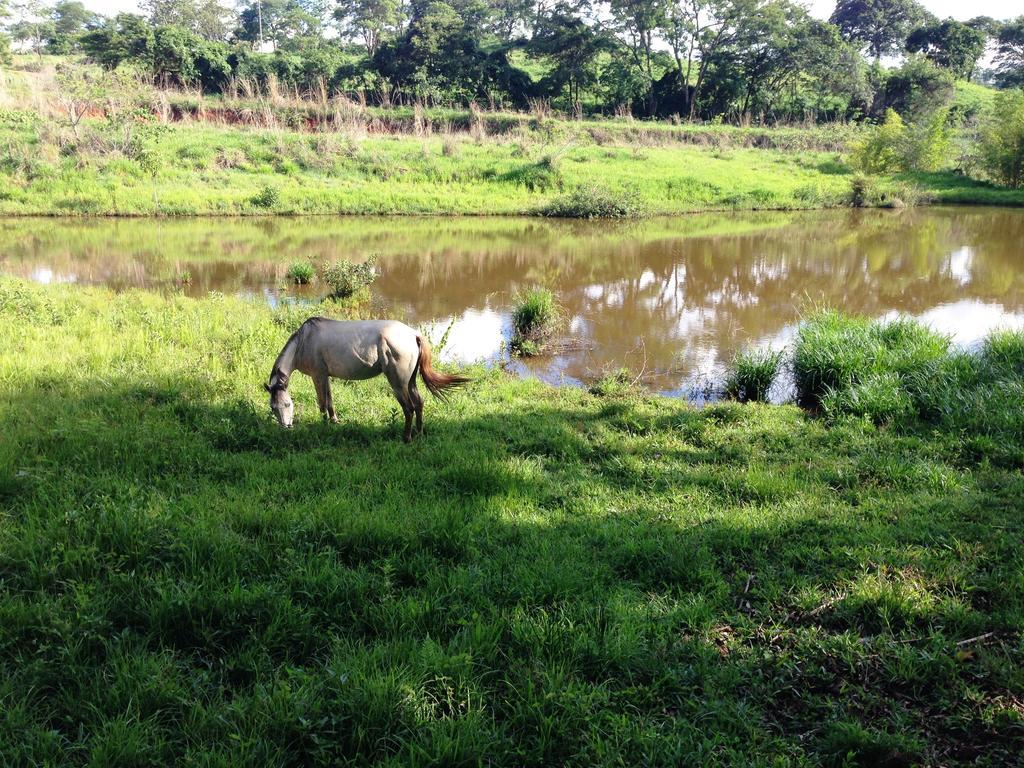 Aguas Vivas Hotel Fazenda Pirenópolis Extérieur photo