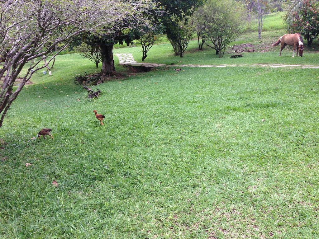 Aguas Vivas Hotel Fazenda Pirenópolis Extérieur photo