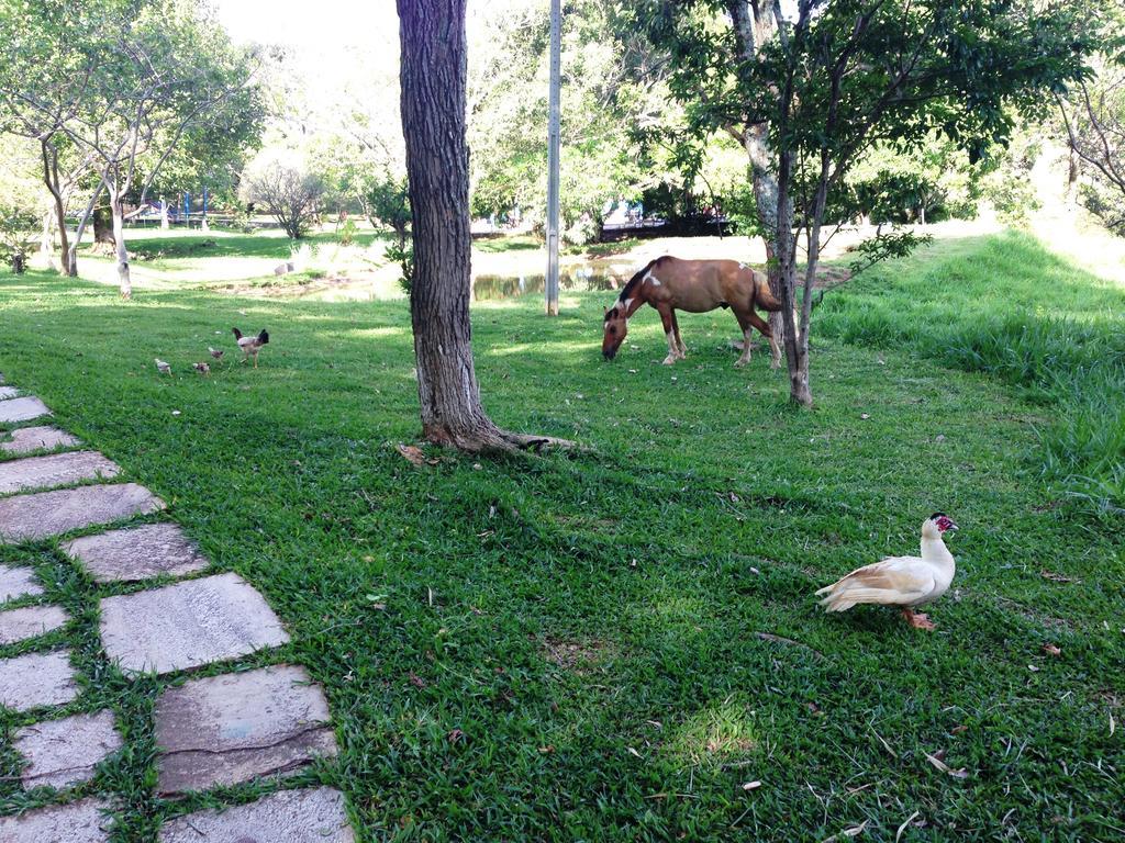 Aguas Vivas Hotel Fazenda Pirenópolis Extérieur photo