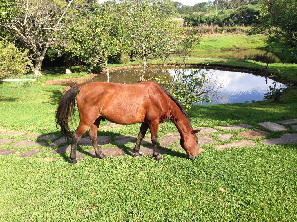 Aguas Vivas Hotel Fazenda Pirenópolis Extérieur photo