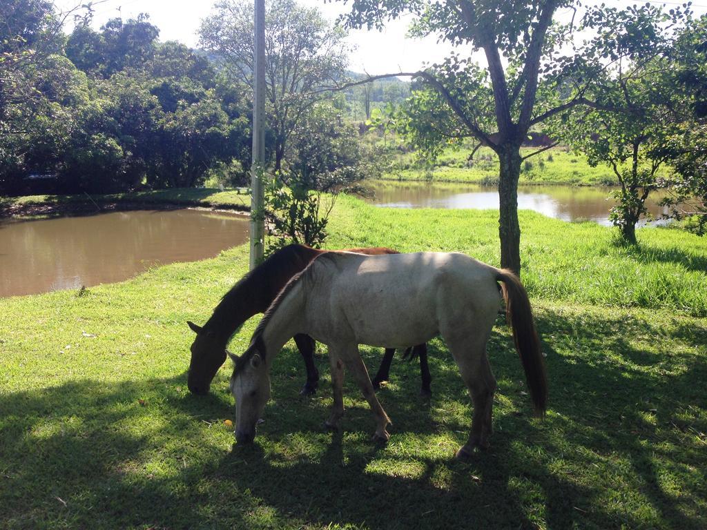 Aguas Vivas Hotel Fazenda Pirenópolis Extérieur photo