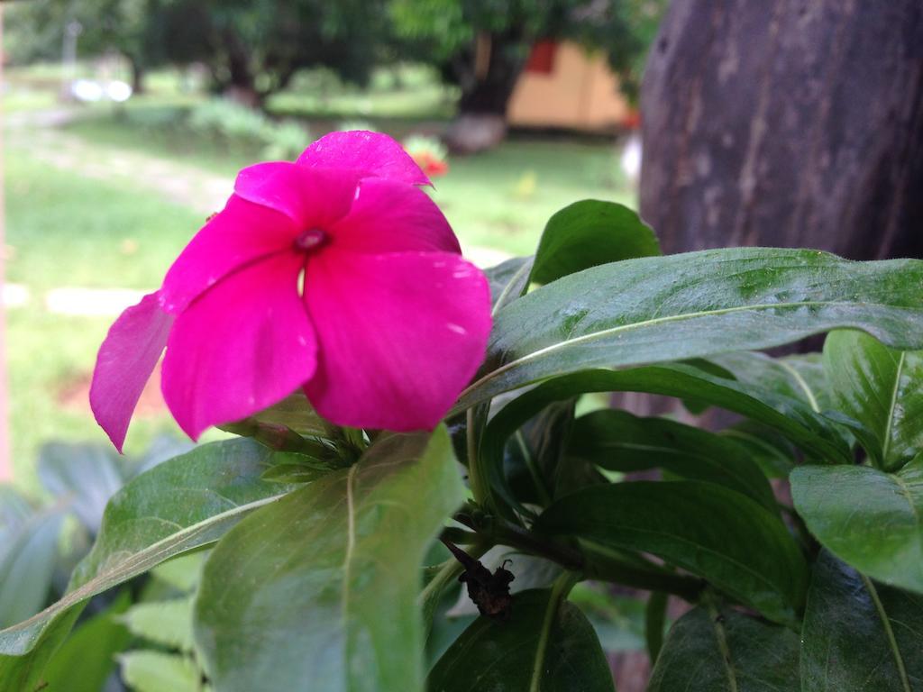 Aguas Vivas Hotel Fazenda Pirenópolis Extérieur photo