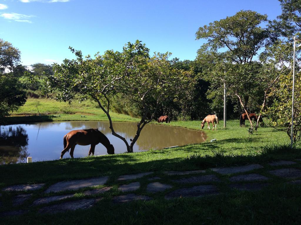 Aguas Vivas Hotel Fazenda Pirenópolis Extérieur photo